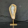 Jasper geode, genuine jasper
